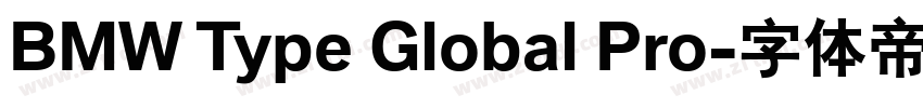 BMW Type Global Pro字体转换 BMW Type Global Pro字体转换